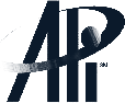 A Professional Image logo